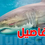 حقيقة ظهور أسماك القرش في الشواطئ التونسية
