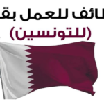 وظائف شاغرة في قطر في عديد الإختصاصات التفاصيل