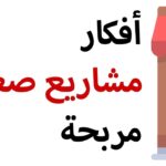 افكار مشاريع صغيرة مربحة جدا وغير مكلفة