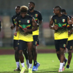 إصابة عدد من لاعبي المنتخب المالي بالمالاريا