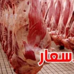غرفة القصابين هكذا ستكون أسعار لحم العلوش خلال رمضان