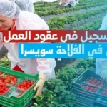 العمل في مزارع سويسرا كيفية الحصول على عقد عمل في سويسرا