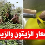 كشف أسعار بيع زيت الزيتون لموسم 2024 2025 في تونس