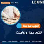 تفاصيل عرض الشغل بشركة ليوني تونس وشروط الانتداب
