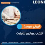 إعلان انتداب 500 عامل وعاملة في شركة ليوني تونس فرع سوسة المسعدين لسنة 2025