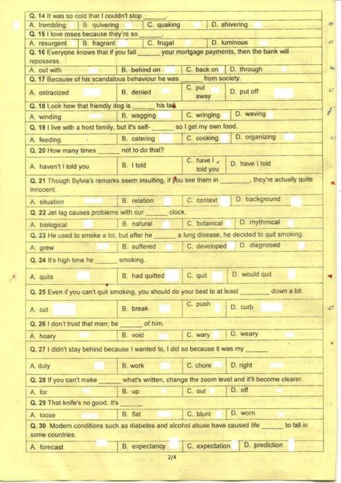 الصفحة الثانية من اختبار CAPES الكتابي لمادة الإنجليزية مع تمارين القواعد والمفردات